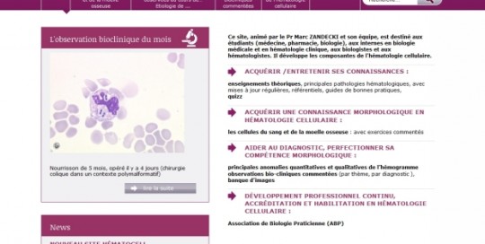 Laboratoire d'Hématologie Cellulaire du CHU d'Angers